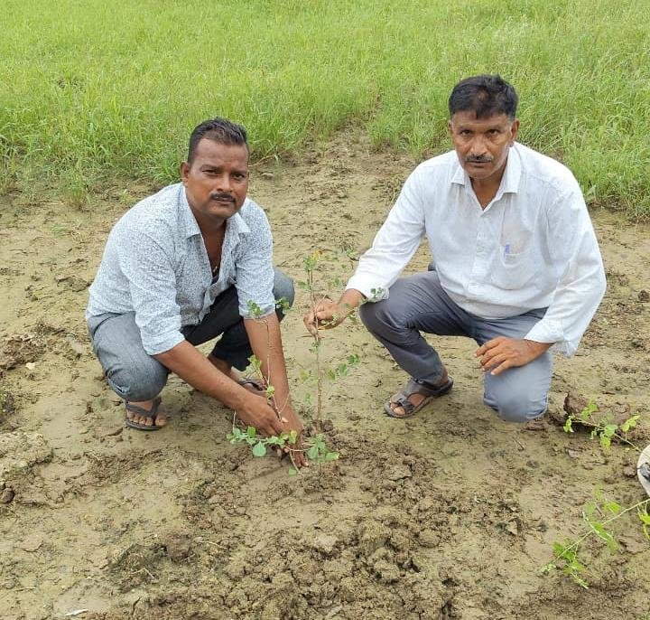 Sujariti Programmes